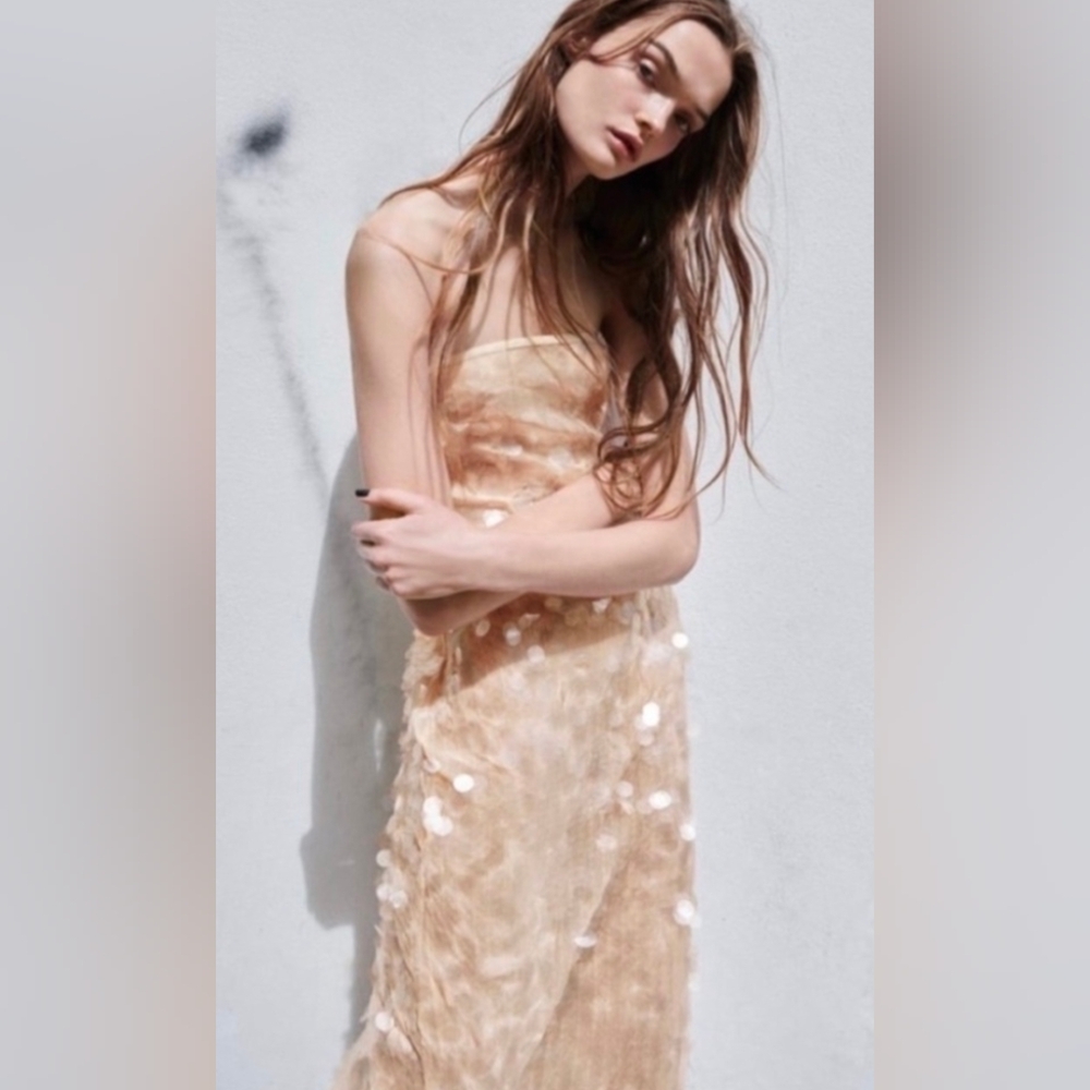 Zara Sequin Midi Dress, NWT
